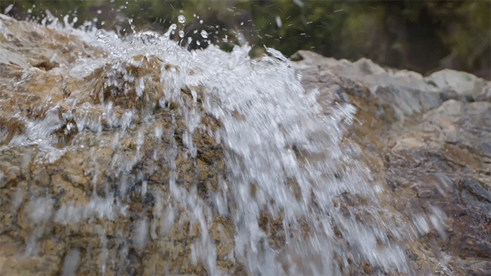 Built for Water, Ready for Anything